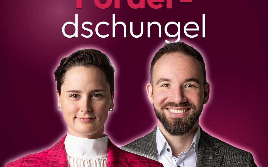 BAFA, KfW 458 und § 35c: entscheiden nach Steuerlast und Maßnahme